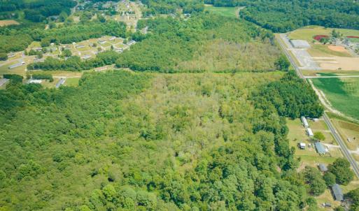 Photo #6 of Off Buck Swamp Road, Pikeville, NC 30.5 acres