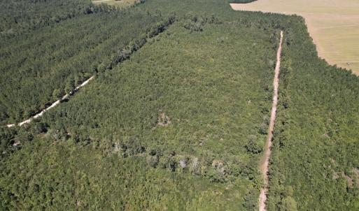 Photo #9 of SOLD property in Off Maxwell Road ,  Stedman, NC 60.0 acres