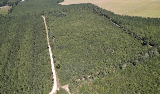 Photo #11 of SOLD property in Off Maxwell Road ,  Stedman, NC 60.0 acres