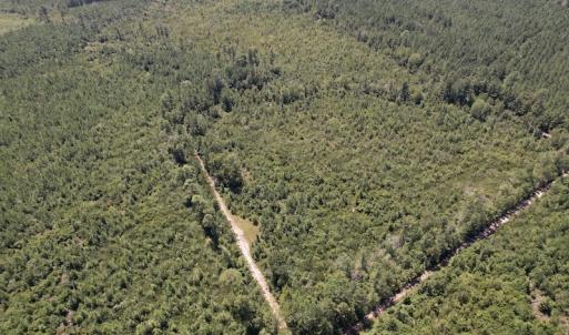 Photo #15 of SOLD property in Off Maxwell Road ,  Stedman, NC 60.0 acres