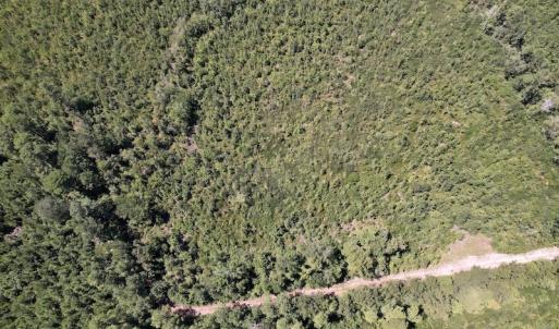 Photo #16 of SOLD property in Off Maxwell Road ,  Stedman, NC 60.0 acres