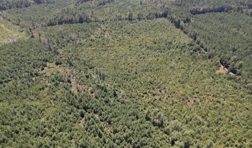 Photo #18 of SOLD property in Off Maxwell Road ,  Stedman, NC 60.0 acres
