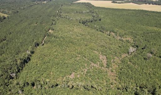 Photo #21 of SOLD property in Off Maxwell Road ,  Stedman, NC 60.0 acres