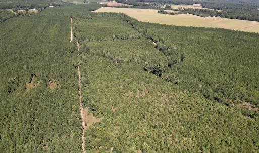 Photo #23 of SOLD property in Off Maxwell Road ,  Stedman, NC 60.0 acres