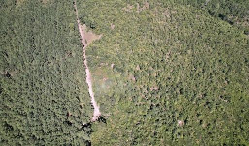 Photo #24 of SOLD property in Off Maxwell Road ,  Stedman, NC 60.0 acres