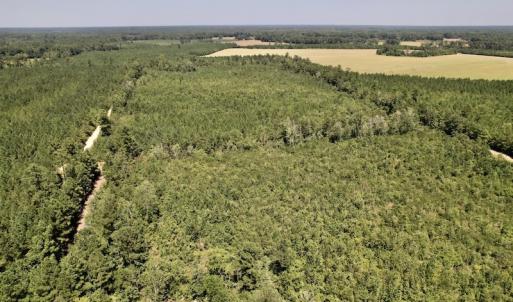 Photo #26 of SOLD property in Off Maxwell Road ,  Stedman, NC 60.0 acres