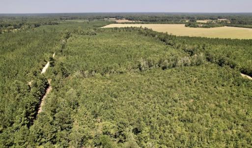 Photo #26 of Off Maxwell Road ,  Stedman, NC 60.0 acres