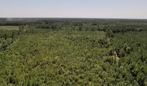 Photo #27 of SOLD property in Off Maxwell Road ,  Stedman, NC 60.0 acres