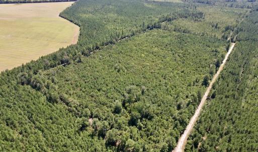 Photo #2 of SOLD property in Off Maxwell Road ,  Stedman, NC 60.0 acres