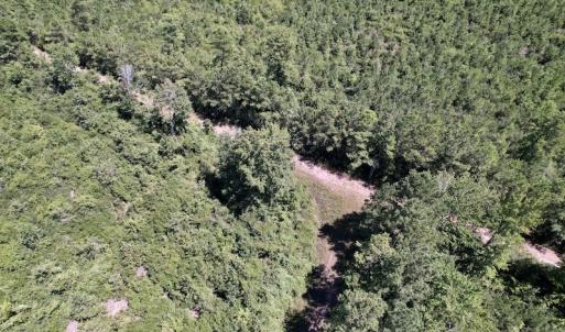 Photo #29 of SOLD property in Off Maxwell Road ,  Stedman, NC 60.0 acres