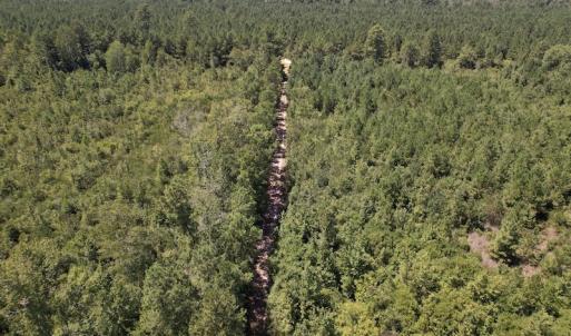 Photo #30 of SOLD property in Off Maxwell Road ,  Stedman, NC 60.0 acres