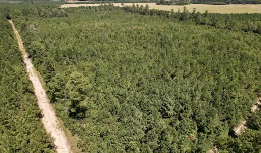 Photo #31 of SOLD property in Off Maxwell Road ,  Stedman, NC 60.0 acres