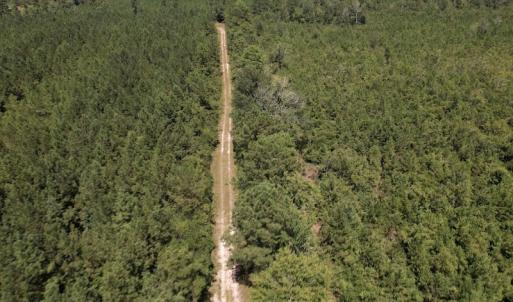Photo #32 of SOLD property in Off Maxwell Road ,  Stedman, NC 60.0 acres