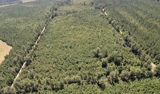 Photo #3 of SOLD property in Off Maxwell Road ,  Stedman, NC 60.0 acres