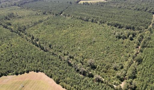 Photo #5 of SOLD property in Off Maxwell Road ,  Stedman, NC 60.0 acres