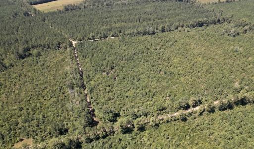 Photo #7 of SOLD property in Off Maxwell Road ,  Stedman, NC 60.0 acres