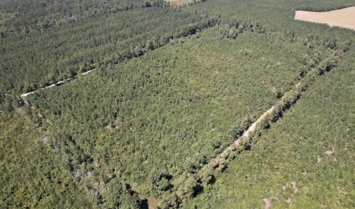Photo #8 of SOLD property in Off Maxwell Road ,  Stedman, NC 60.0 acres
