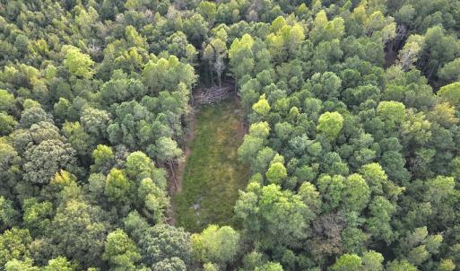Photo #10 of SOLD property in Off Macedonia Road, Smithfield, NC 10.8 acres