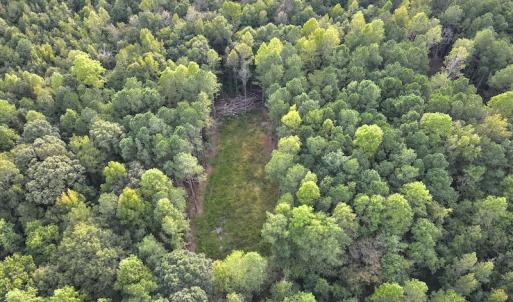 Photo #10 of SOLD property in Off Macedonia Road, Smithfield, NC 10.8 acres