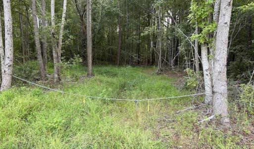 Photo #13 of SOLD property in Off Macedonia Road, Smithfield, NC 10.8 acres