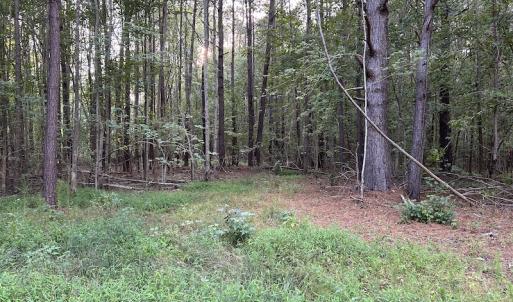 Photo #14 of SOLD property in Off Macedonia Road, Smithfield, NC 10.8 acres