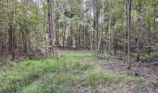 Photo #15 of SOLD property in Off Macedonia Road, Smithfield, NC 10.8 acres