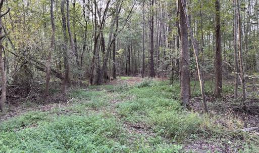 Photo #16 of SOLD property in Off Macedonia Road, Smithfield, NC 10.8 acres