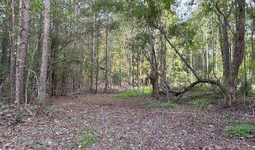 Photo #17 of SOLD property in Off Macedonia Road, Smithfield, NC 10.8 acres