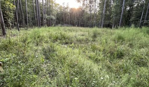 Photo #19 of SOLD property in Off Macedonia Road, Smithfield, NC 10.8 acres