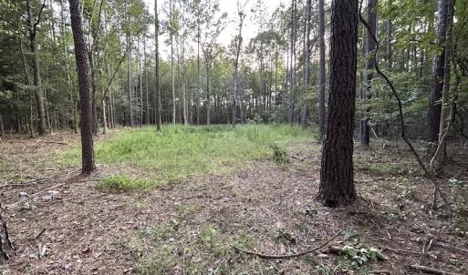 Photo #20 of SOLD property in Off Macedonia Road, Smithfield, NC 10.8 acres