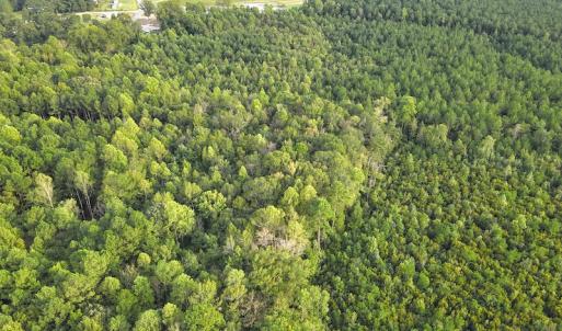 Photo #4 of SOLD property in Off Macedonia Road, Smithfield, NC 10.8 acres