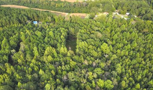 Photo #6 of SOLD property in Off Macedonia Road, Smithfield, NC 10.8 acres