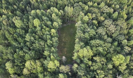 Photo #7 of SOLD property in Off Macedonia Road, Smithfield, NC 10.8 acres
