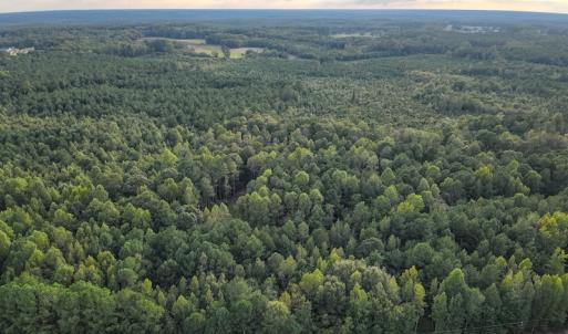 Photo #8 of SOLD property in Off Macedonia Road, Smithfield, NC 10.8 acres