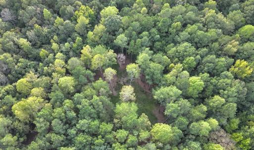 Photo #9 of SOLD property in Off Macedonia Road, Smithfield, NC 10.8 acres