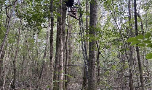Photo #23 of SOLD property in Off Macedonia Road, Smithfield, NC 10.8 acres