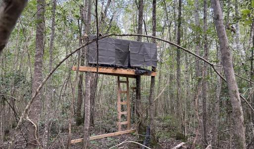Photo #24 of SOLD property in Off Macedonia Road, Smithfield, NC 10.8 acres