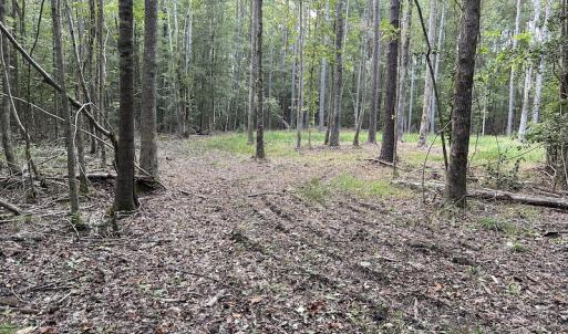Photo #25 of SOLD property in Off Macedonia Road, Smithfield, NC 10.8 acres
