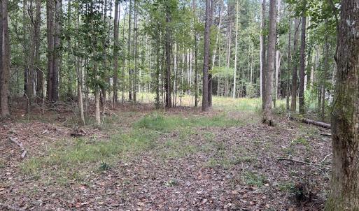 Photo #26 of SOLD property in Off Macedonia Road, Smithfield, NC 10.8 acres
