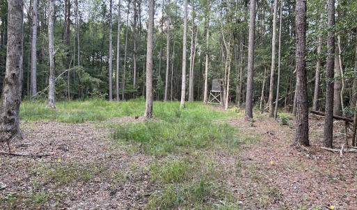 Photo #27 of SOLD property in Off Macedonia Road, Smithfield, NC 10.8 acres