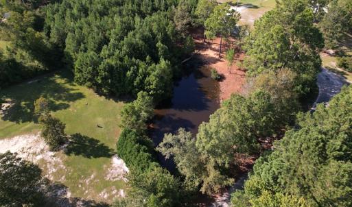 Photo #12 of SOLD property in 1133 Rockfish Drive, Manning, SC 1.5 acres