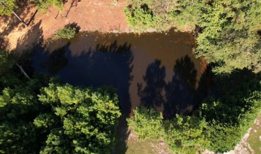 Photo #14 of SOLD property in 1133 Rockfish Drive, Manning, SC 1.5 acres