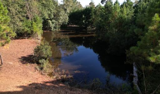 Photo #15 of SOLD property in 1133 Rockfish Drive, Manning, SC 1.5 acres