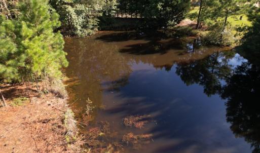 Photo #16 of SOLD property in 1133 Rockfish Drive, Manning, SC 1.5 acres