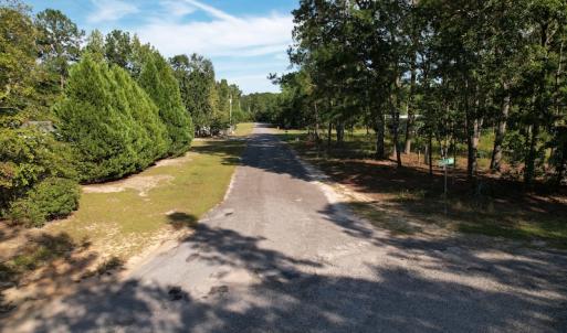 Photo #18 of SOLD property in 1133 Rockfish Drive, Manning, SC 1.5 acres