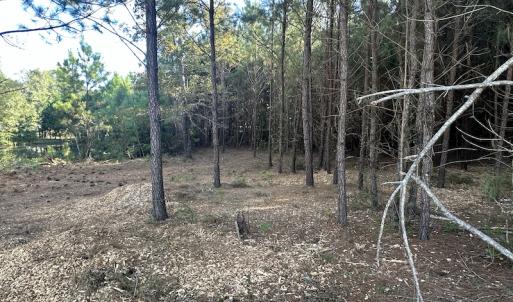 Photo #21 of SOLD property in 1133 Rockfish Drive, Manning, SC 1.5 acres