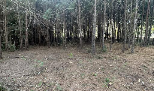 Photo #22 of SOLD property in 1133 Rockfish Drive, Manning, SC 1.5 acres