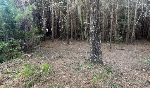 Photo #23 of SOLD property in 1133 Rockfish Drive, Manning, SC 1.5 acres
