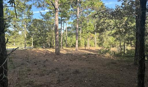 Photo #24 of SOLD property in 1133 Rockfish Drive, Manning, SC 1.5 acres