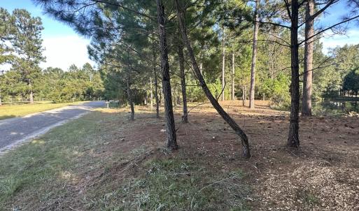 Photo #25 of SOLD property in 1133 Rockfish Drive, Manning, SC 1.5 acres